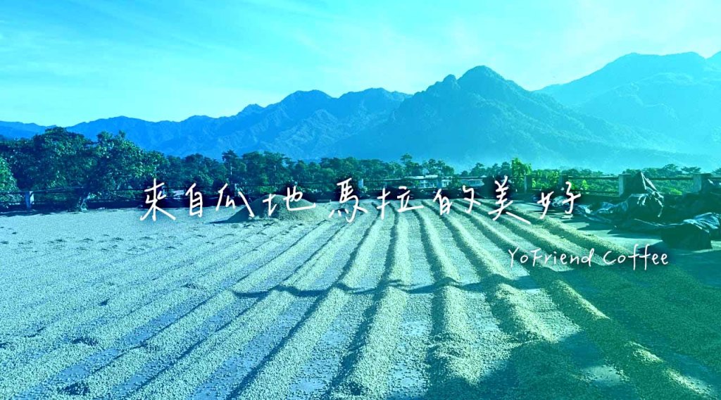 有好咖啡-YoFriend Coffee-瓜地馬拉生豆產區